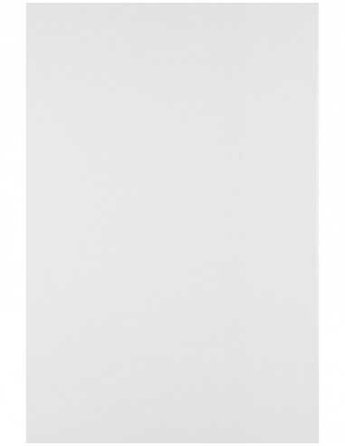 Carta liscia bianco 230g Splendorgel Extra White (71x100cm)