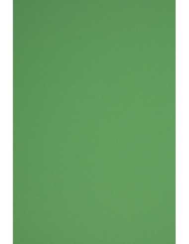 Carta colorata verde scuro 230g Rainbow - conf. 20 fogli A4