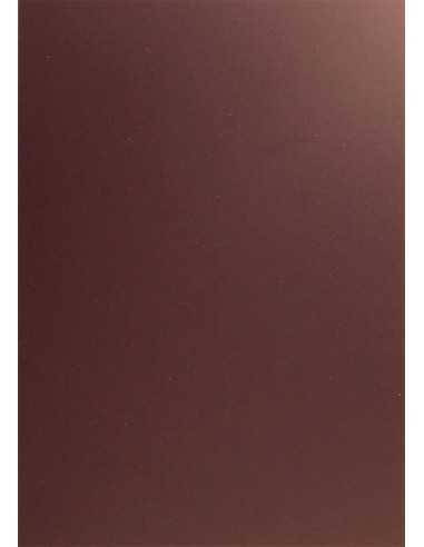 Carta colorata marrone 330g Plike Brown - conf. 10 fogli A4