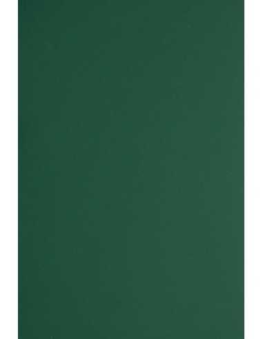 Carta colorata verde scuro 330g Plike Green - conf. 10 fogli A4