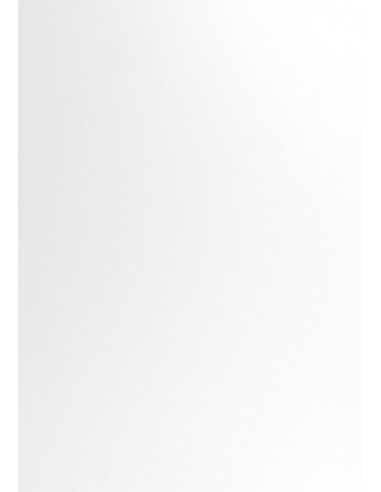 Carta liscia bianco 120g Conqueror CX22 White (45x64cm)