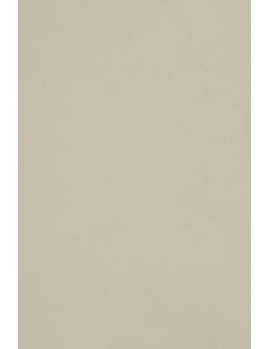 Carta colorata grigio chiaro 250g Burano Grigio - conf. 20 fogli A4