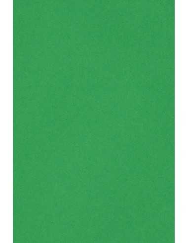 Carta colorata verde 250g Burano Verde Bandiera - conf. 20 fogli A4