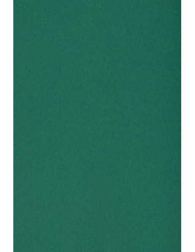 Carta colorata verde scuro 250g Burano English Green - conf. 20 fogli A4