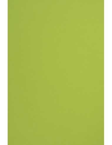 Carta colorata verde chiaro 115g Sirio Color Lime - conf. 50 fogli A4