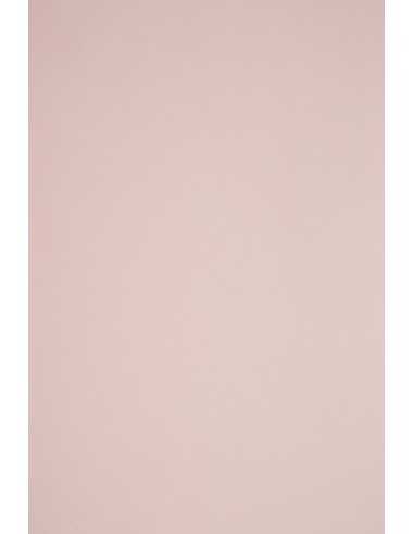 Carta colorata rosa pallido 115g Sirio Color Nude - conf. 50 fogli A4