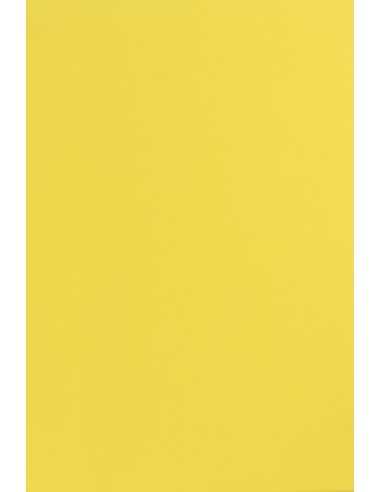 Carta colorata giallo 115g Sirio Color Limone - conf. 50 fogli A4