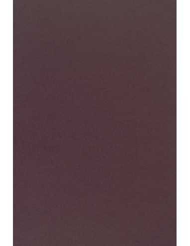 Carta colorata viola scuro 170g Sirio Color Vino - conf. 20 fogli A4