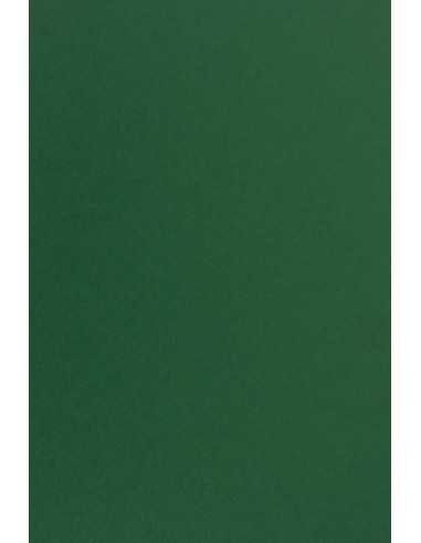 Carta colorata verde scuro 170g Sirio Color Foglia - conf. 20 fogli A4