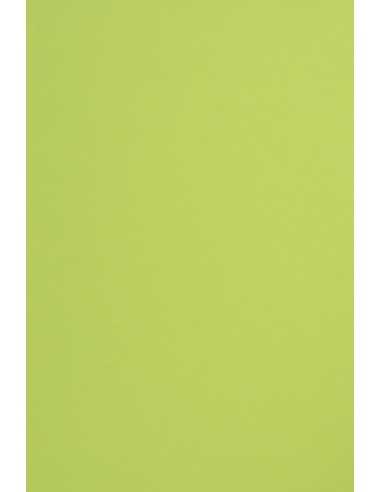 Carta colorata verde chiaro 210g Sirio Color Lime - conf. 25 fogli A4