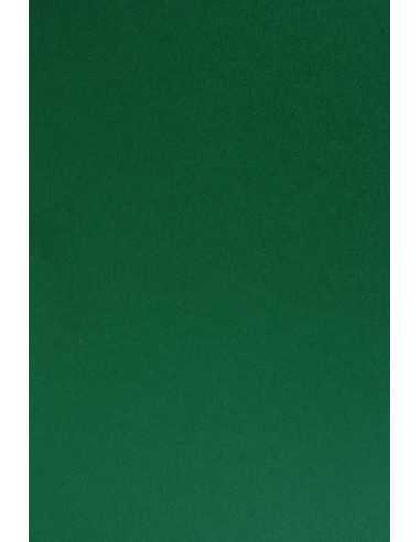 Carta colorata verde scuro 210g Sirio Color Foglia - conf. 25 fogli A4