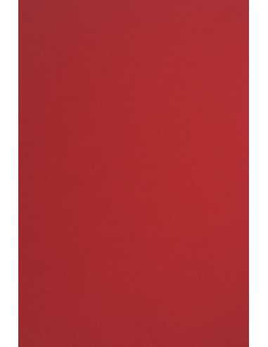 Carta colorata rosso 210g Sirio Color Lampone - conf. 25 fogli A4