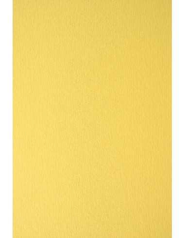 Carta colorata strutturata righe giallo 215g Nettuno Pompelmo - conf. 10 fogli A4