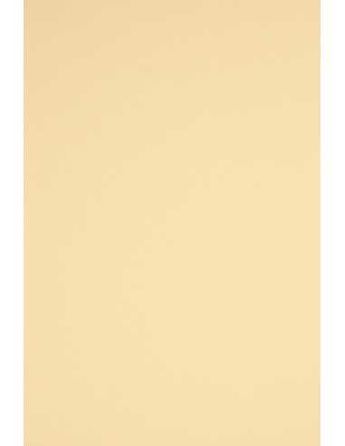 Carta colorata crema 230g Rainbow (70x100cm)