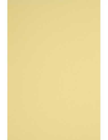 Carta colorata giallo chiaro 230g Rainbow (70x100cm)