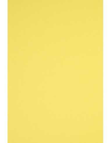 Carta colorata giallo 230g Rainbow (70x100cm)