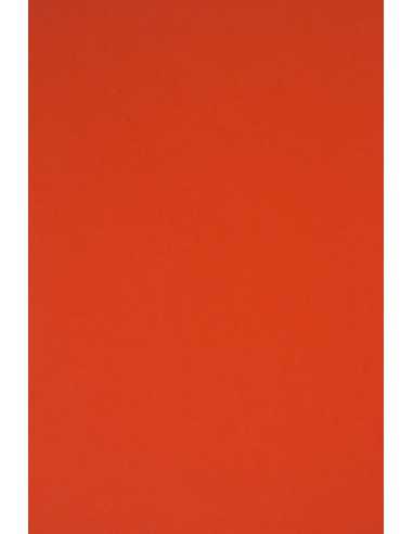 Carta colorata rosso 230g Rainbow (70x100cm)