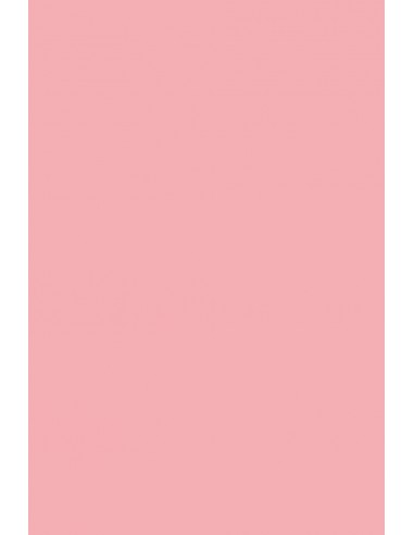 Carta colorata rosa 230g Rainbow (70x100cm)