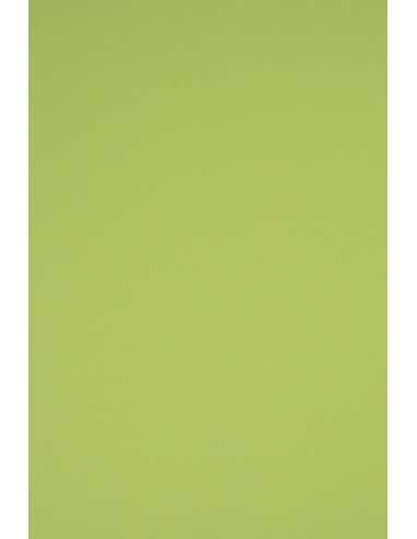 Carta colorata verde chiaro 230g Rainbow (70x100cm)