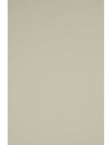 Carta colorata grigio 230g Rainbow (70x100cm)