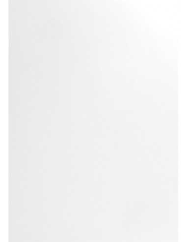 Carta colorata strutturata bianco 220g Conqueror Laid White (70x100cm)