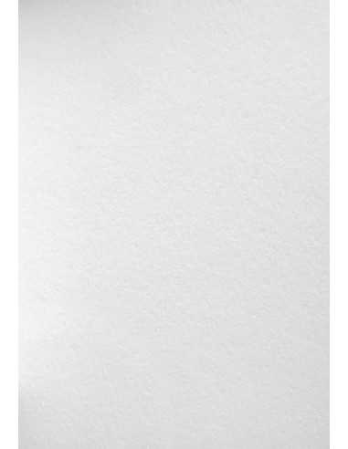 Cartoncino bianco 450g Wild White (72x102cm)