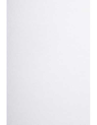 Carta liscia bianco 300g Arena Smooth Extra White (72x102cm)