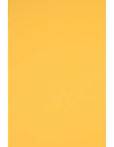 Carta colorata giallo scuro 160g Rainbow (92x65cm)