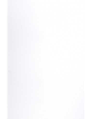 Carta strutturata bianco 135g Curious Matter Goya White (70x100cm)