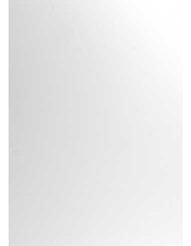 Carta colorata bianco 270g Curious Skin Extra White (70x100cm)