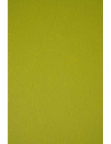 Carta colorata ecologica verde 300g Keaykolour Kiwi (70x100cm)