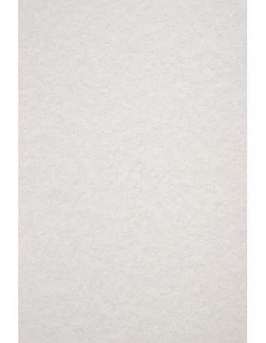 Carta colorata marmorizzata grigio chiaro 180g Aster Laguna Grey (70x100cm)