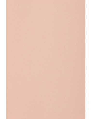 Carta colorata rosa 250g Burano Rosa (70x100cm)