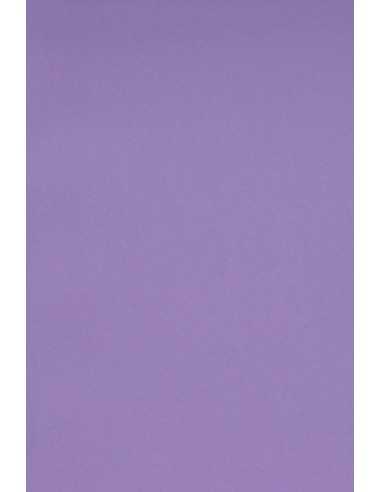 Carta colorata viola 250g Burano Violet (70x100cm)