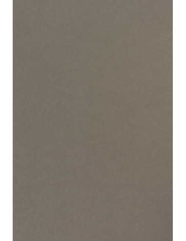 Carta colorata grigio 115g Sirio Color Pietra (70x100cm)