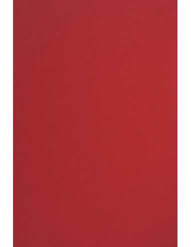 Carta colorata rosso 115g Sirio Color Lampone (70x100cm)