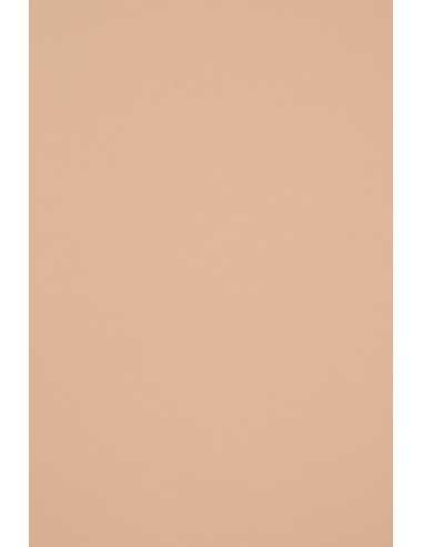 Carta colorata ecologica rosa chiaro 140g Woodstock Cipria (70x100cm)