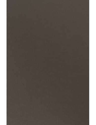 Carta colorata marrone 170g Sirio Color Caffe (70x100cm)