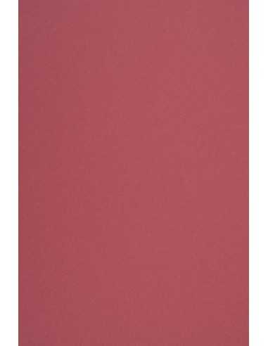 Carta colorata ecologica rosa scuro 170g Woodstock Malva (70x100cm)