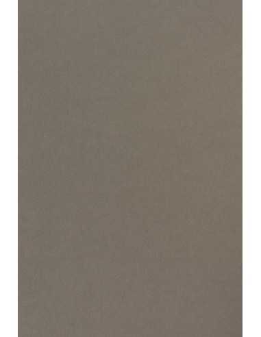 Carta colorata grigio 210g Sirio Color Pietra (70x100cm)