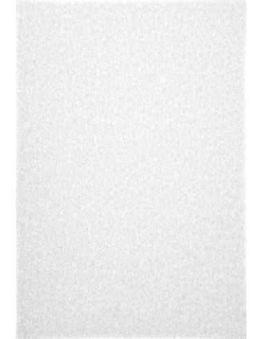 Carta nuvolata bianco 230g Pergamenata Bianco (70x100cm)