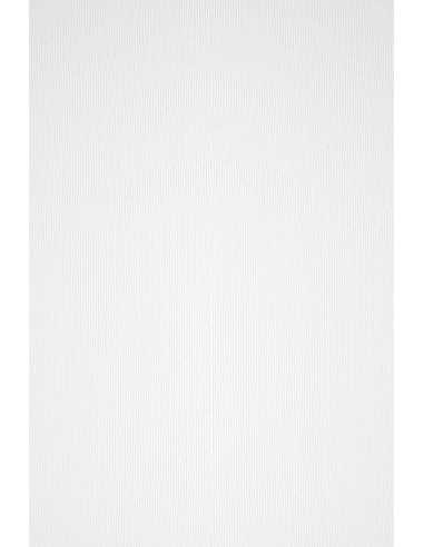 Carta strutturata righe bianco 100g Acquerello Bianco (72x101cm)