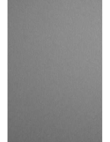 Carta colorata strutturata righe grigio 215g Nettuno Polvere (72x101cm)