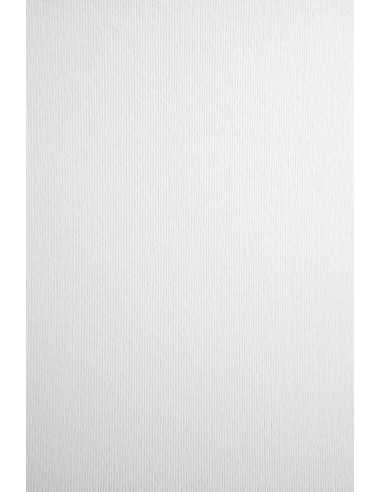 Carta colorata strutturata righe bianco 215g Nettuno Bianco Artico (72x101cm)