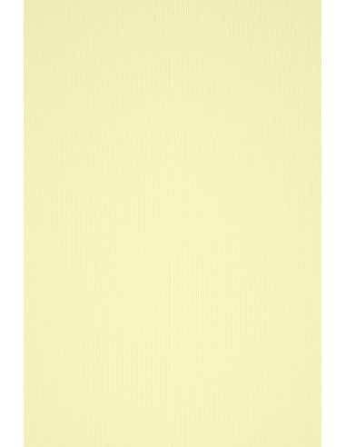 Carta colorata strutturata righe crema 100g Acquerello Camoscio (72x101cm)