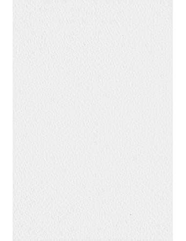 Carta strutturata bianco 250g Tintoretto Gesso (72x101cm)