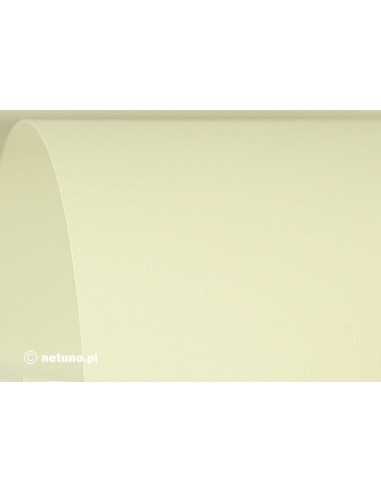 Carta strutturata setaccio crema 250g Aster Cream (61x86cm)