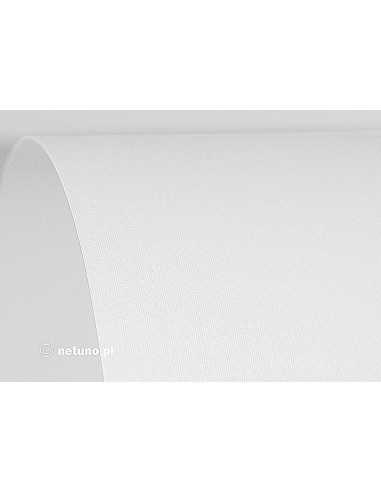 Carta strutturata tela bianco 250g Aster White (61x86cm)