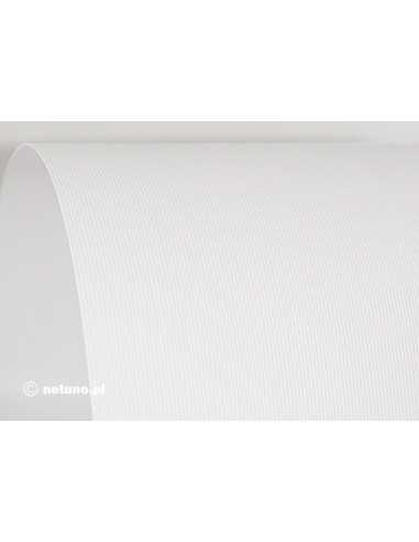 Carta strutturata righe bianco 250g Aster White (61x86cm)