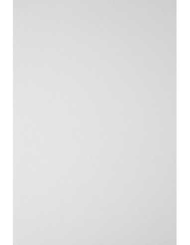 Carta liscia bianco 246g Elfenbein Glazed (61x86cm)